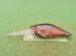 Photo1: Biovex AMP Deep Runner  [5176] (1)