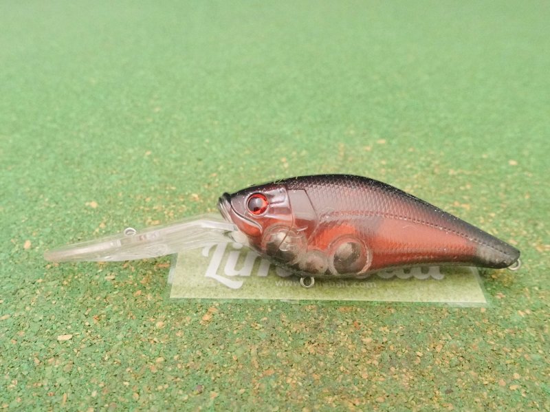 Photo1: Biovex AMP Deep Runner  [5176] (1)