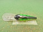 Photo2: Biovex AMP Deep Runner  [5175] (2)