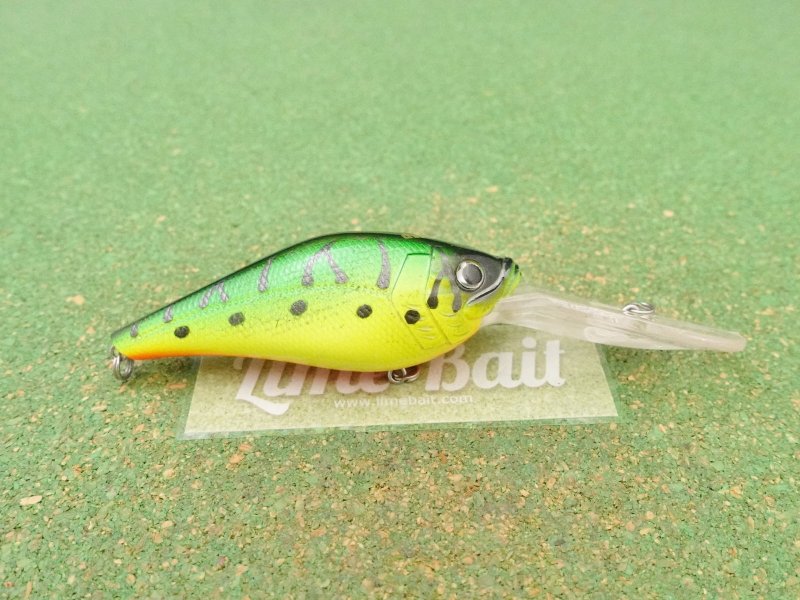 Photo3: Biovex AMP Deep Runner  [5175] (3)