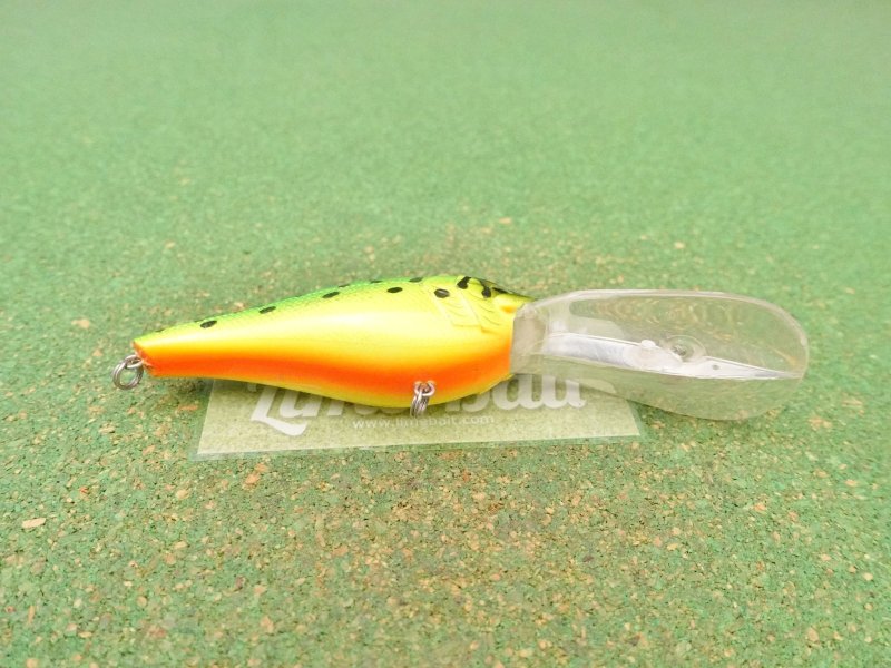 Photo4: Biovex AMP Deep Runner  [5175] (4)