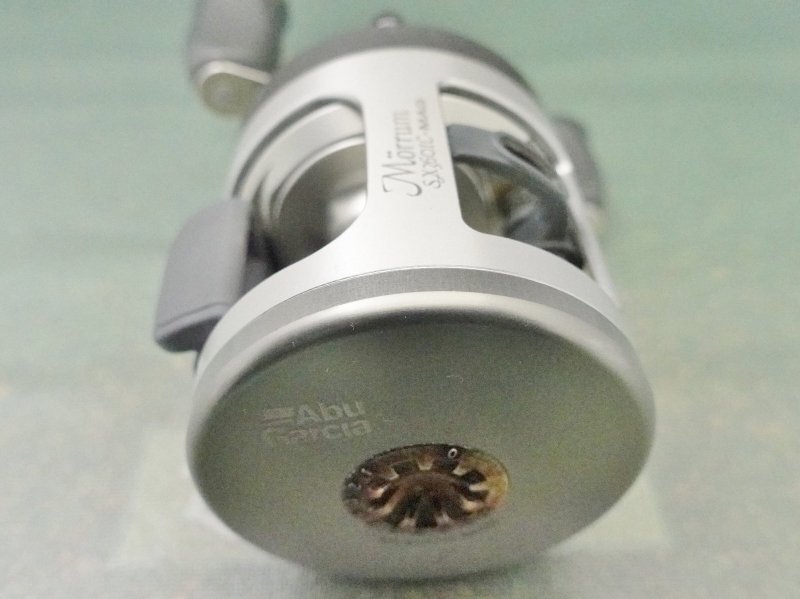 Photo6: Abu Garcia Revo Morrum SX3601C Mag [5475] (6)