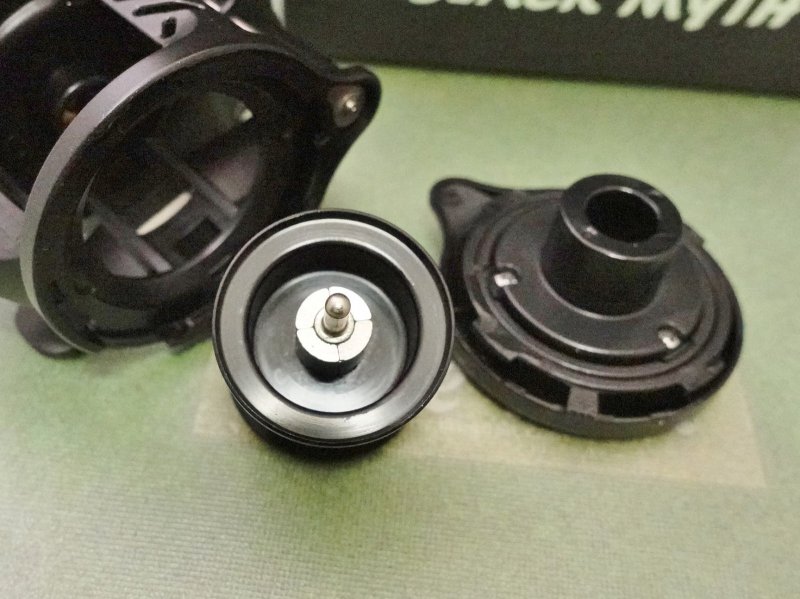 Photo10: Lizard Black Myth DC Version [6100] (10)