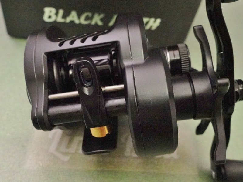 Photo5: Lizard Black Myth DC Version [6100] (5)